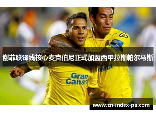 谢菲联锋线核心麦克伯尼正式加盟西甲拉斯帕尔马斯 谢菲联锋线核心麦克伯尼正式加盟西甲拉斯帕尔马斯