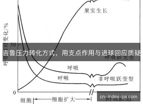吉鲁压力转化方式，用支点作用与进球回应质疑